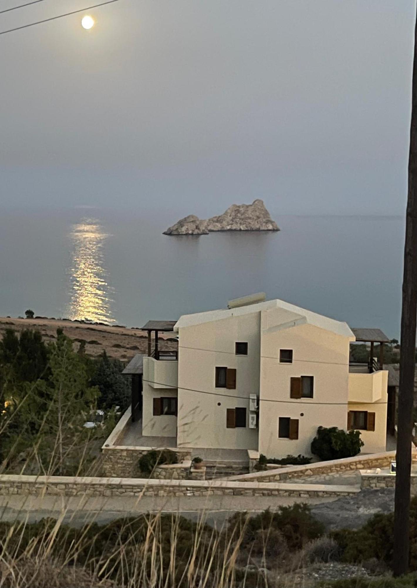 Natica Mare * Ксерокамбос