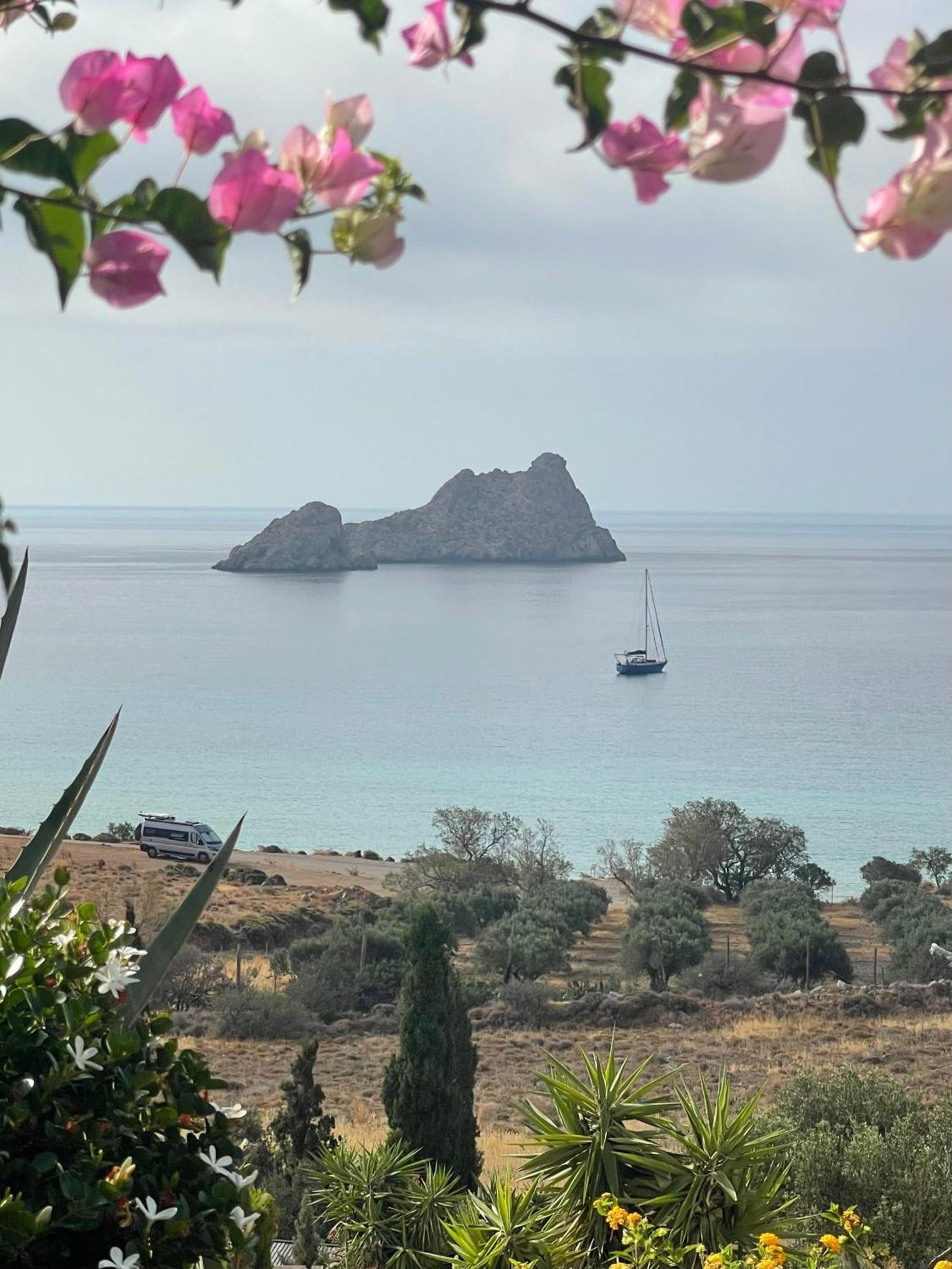 Natica Mare *
