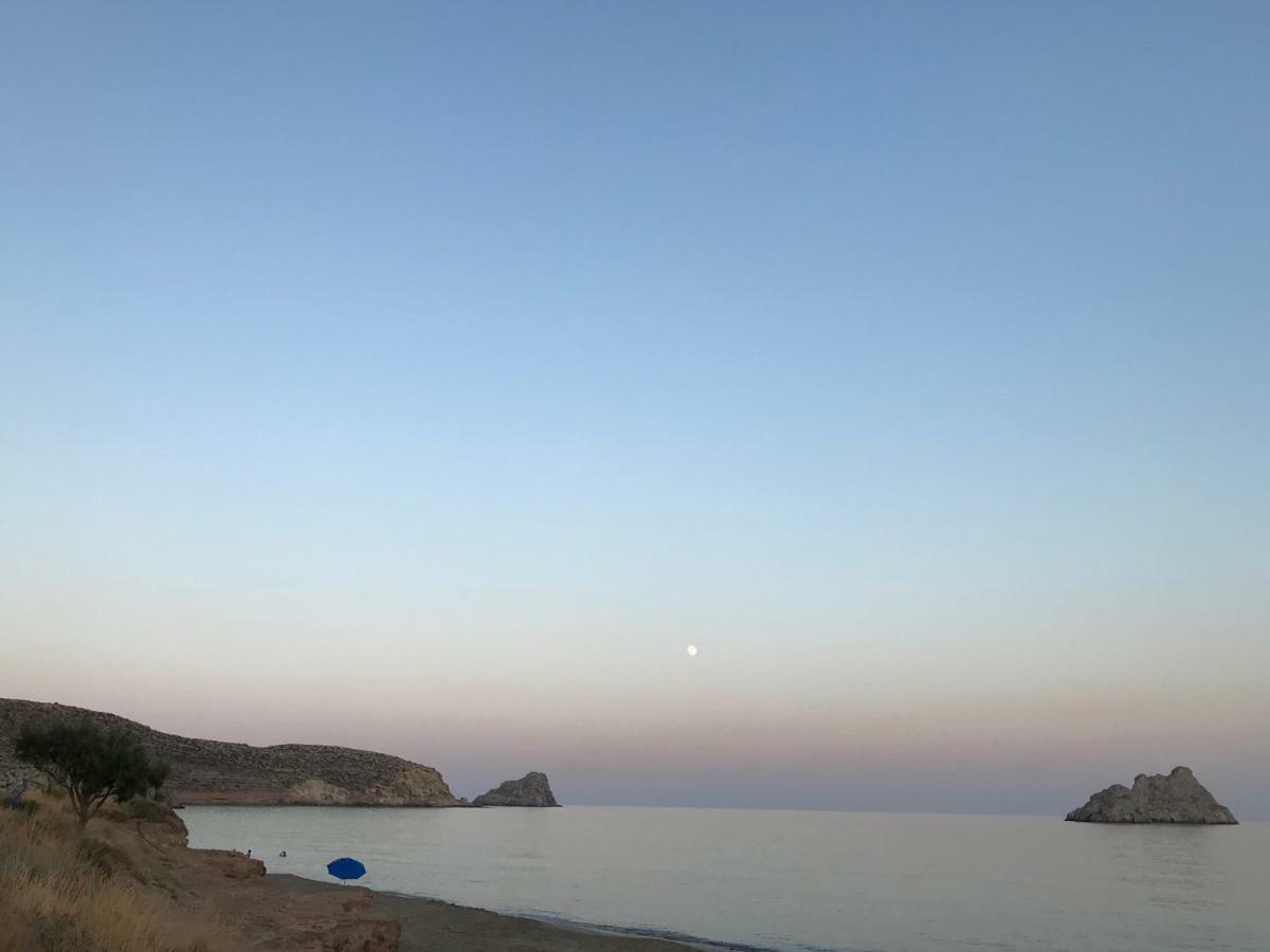 Natica Mare Ксерокамбос